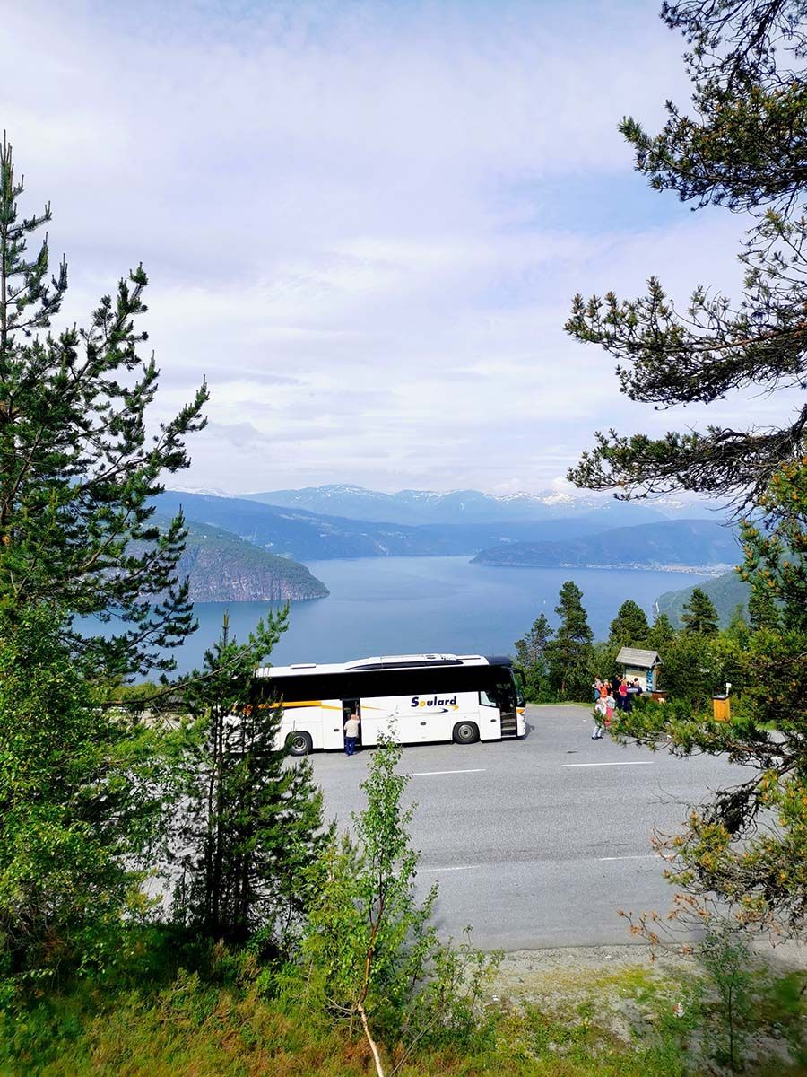 Un bus touristique blanc est garé dans un point de vue panoramique, des pins encadrant un grand lac et des montagnes.
