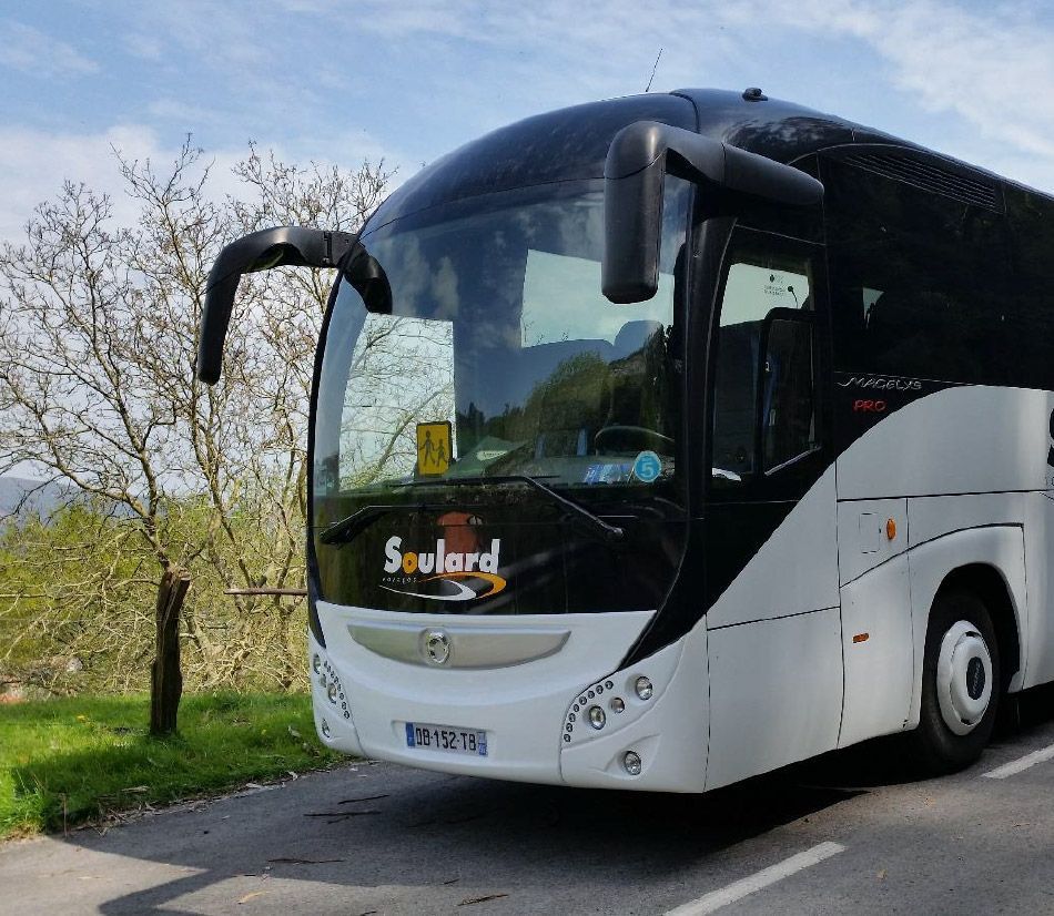 Un bus touristique Soulard blanc et noir garé sur le bord d'une route, près d'un arbre.