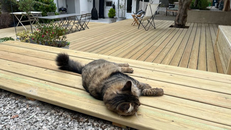 Une terrasse en bois avec un chat allongé dessus