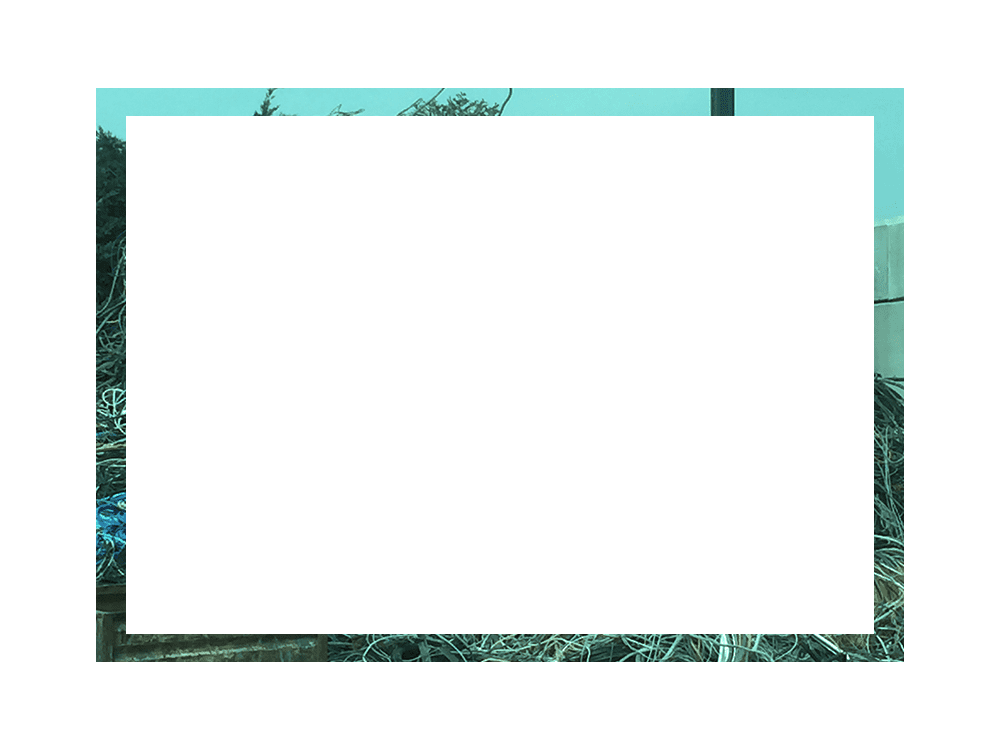 Espace blanc rectangulaire encadré d'une bordure turquoise et bleue, avec des touches de paysage.