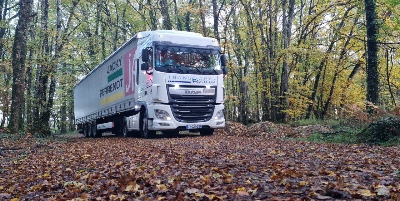 Camion en forêt