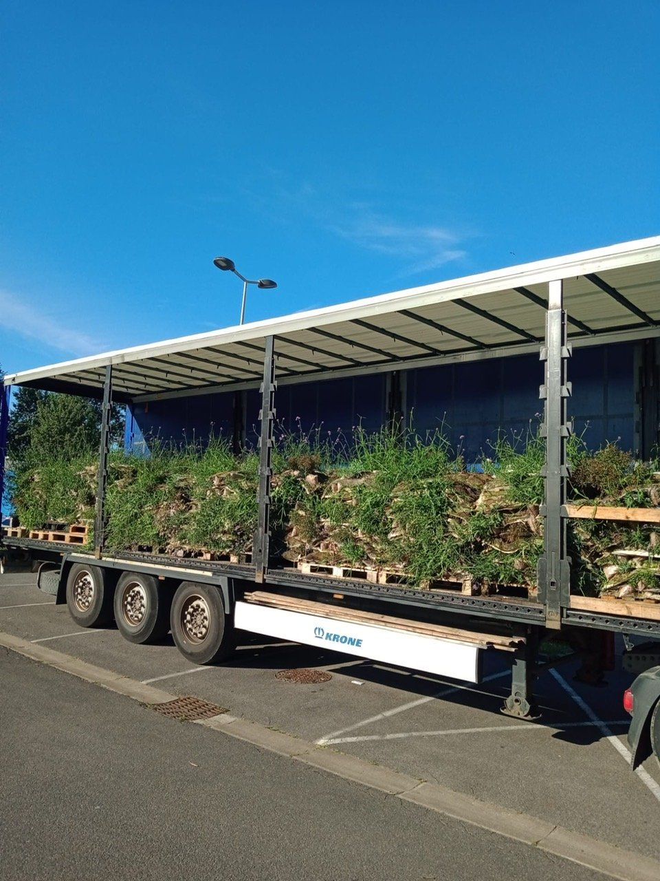 Transport de plantes