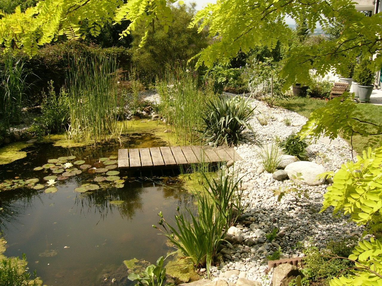 Uferzonenerweiterung - Basel - webergarten