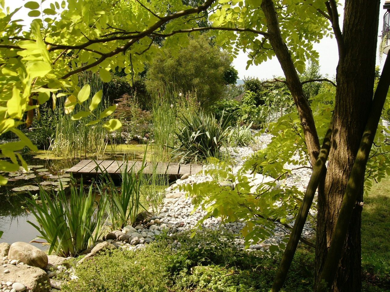 Uferzonenerweiterung - Basel - webergarten