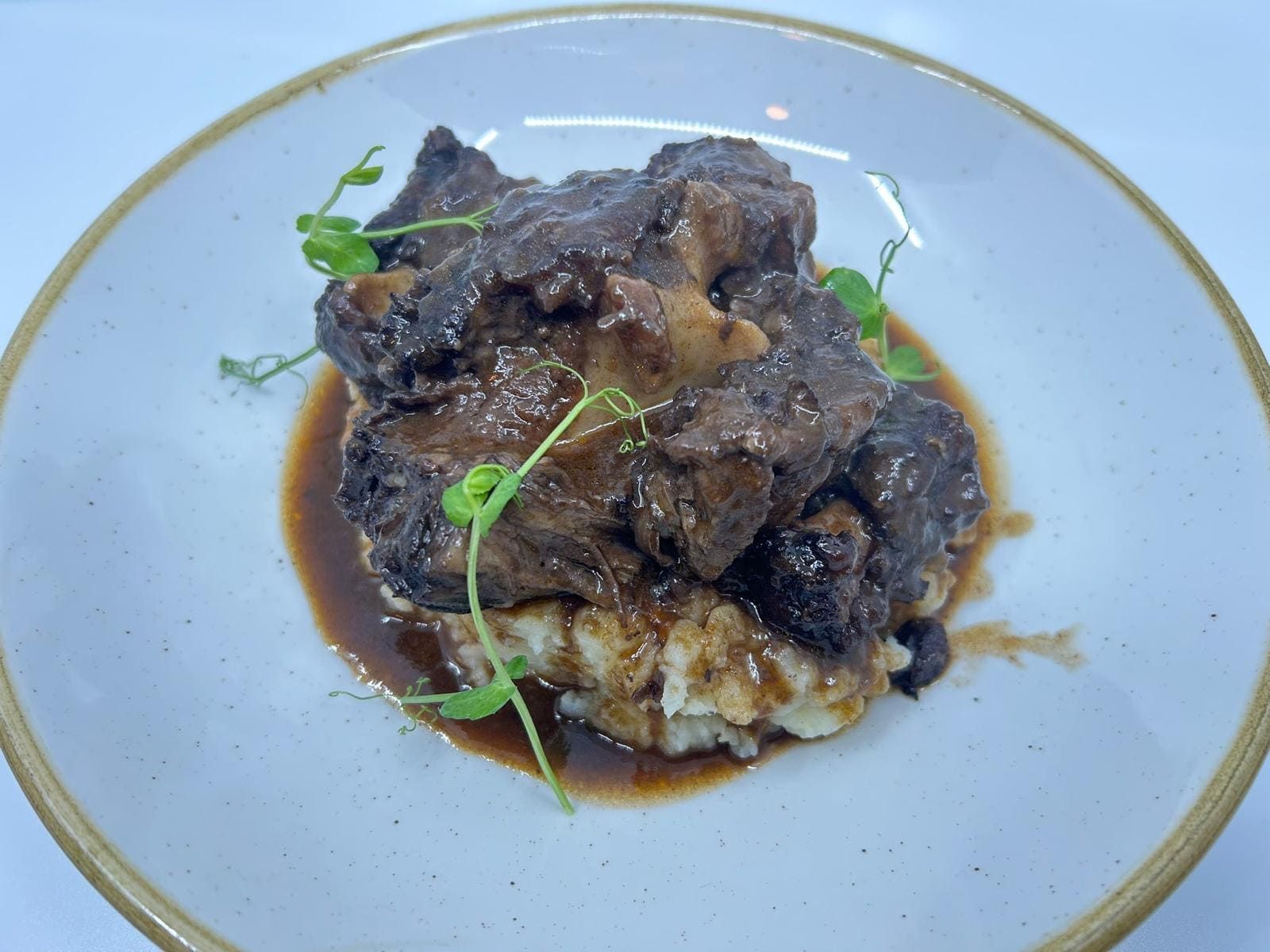 Carne de res estofada sobre puré de papas, adornada con brotes verdes, servida en un plato blanco con borde marrón.