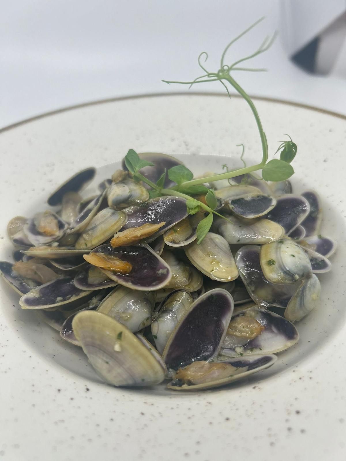 Almejas en salsa cremosa, adornadas con un brote verde, servidas en un tazón blanco.