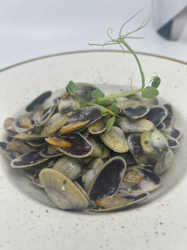 Almejas en salsa de crema, adornadas con brotes de guisantes, servidas en un tazón blanco.