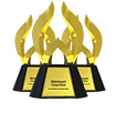 Outstanding Website
2025