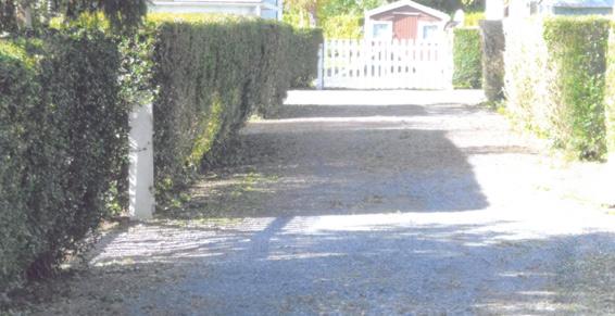 Ribemont-sur-Ancre - Campings