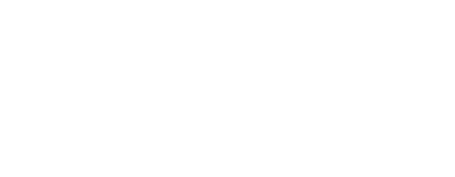 Dra. Carmen Bravo González