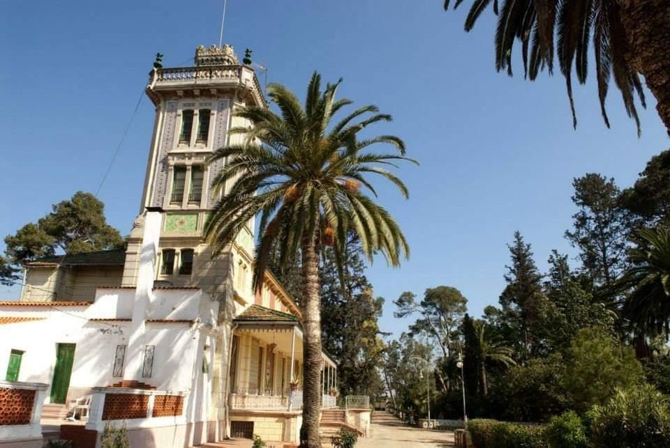 Un edificio muy alto con una palmera delante.