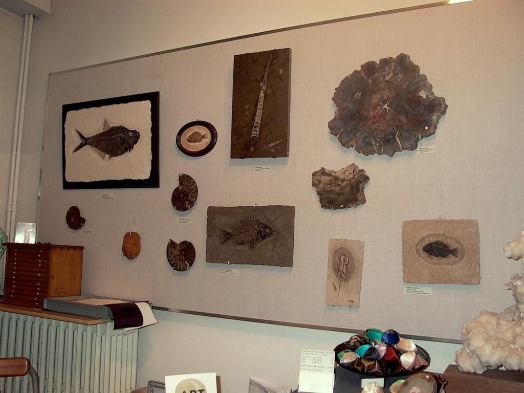 Minéraux Cristaux - Manuela Schaaf - fossiles