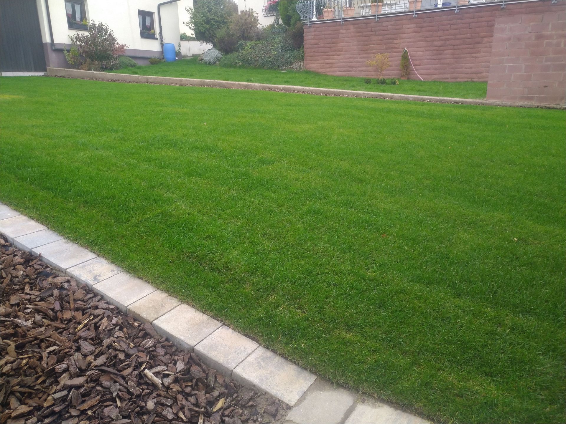 Saftig grüner Rasen, begrenzt durch Steinpflaster und Mulchbeet, vor einem Haus und einer Backsteinmauer.