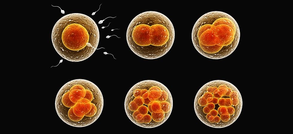 Docteur Stalberg - gynécologue - genève