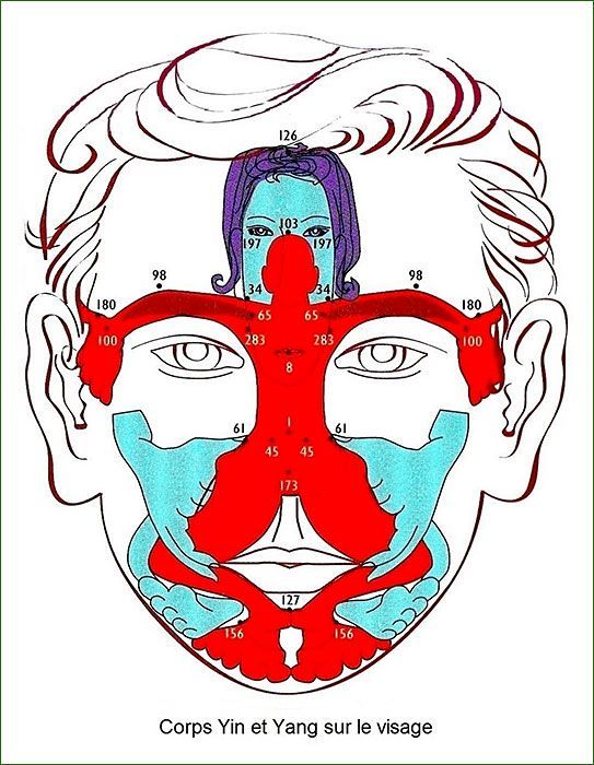 Un visage avec des explications sur la réflexologie.