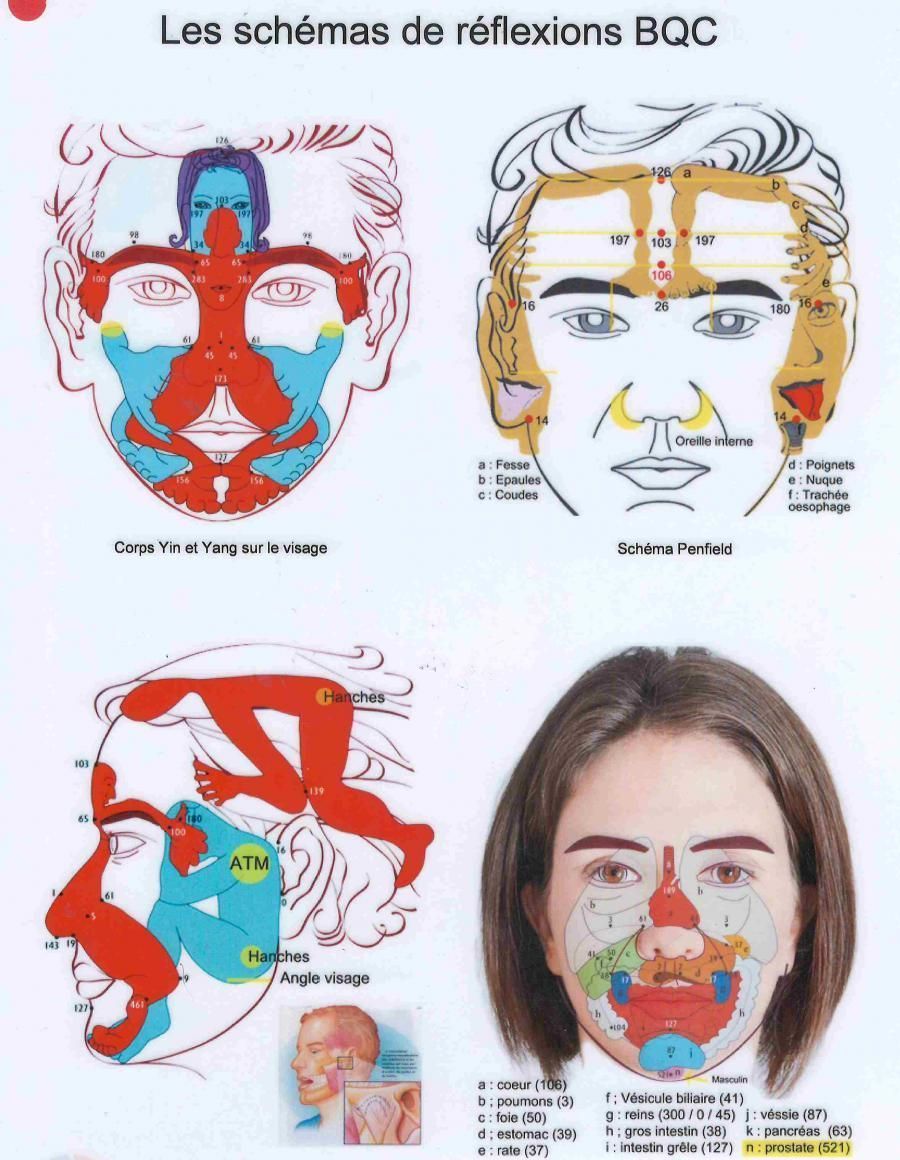 Des explications sur la réflexologie.