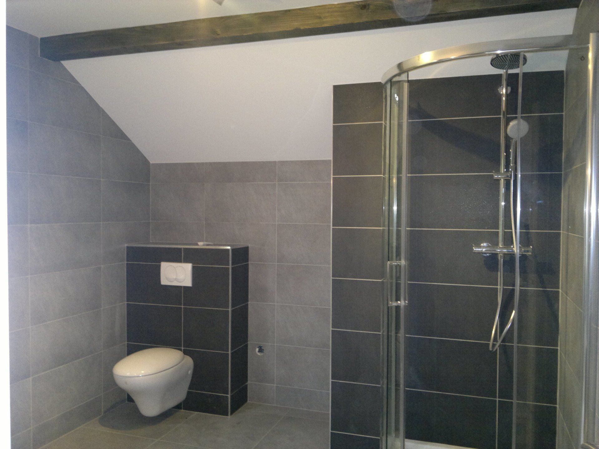Salle de bains et toilettes avec carreaux noirs et gris.