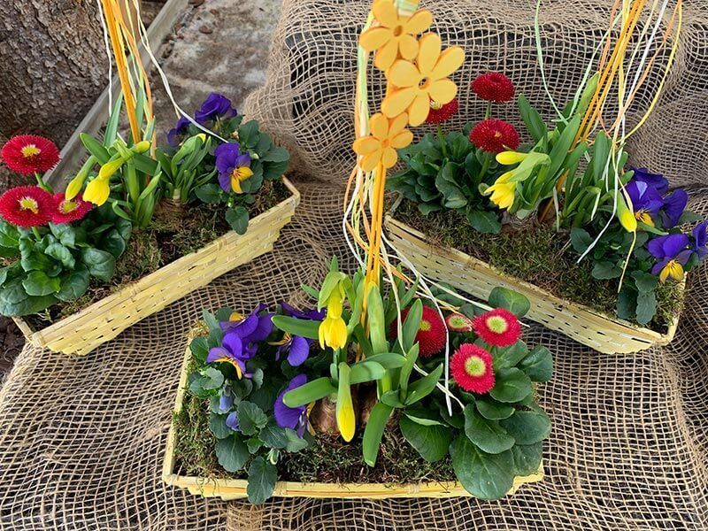 Gärtnerei und Blumenhaus Janowsky