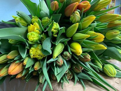 Gärtnerei und Blumenhaus Janowsky