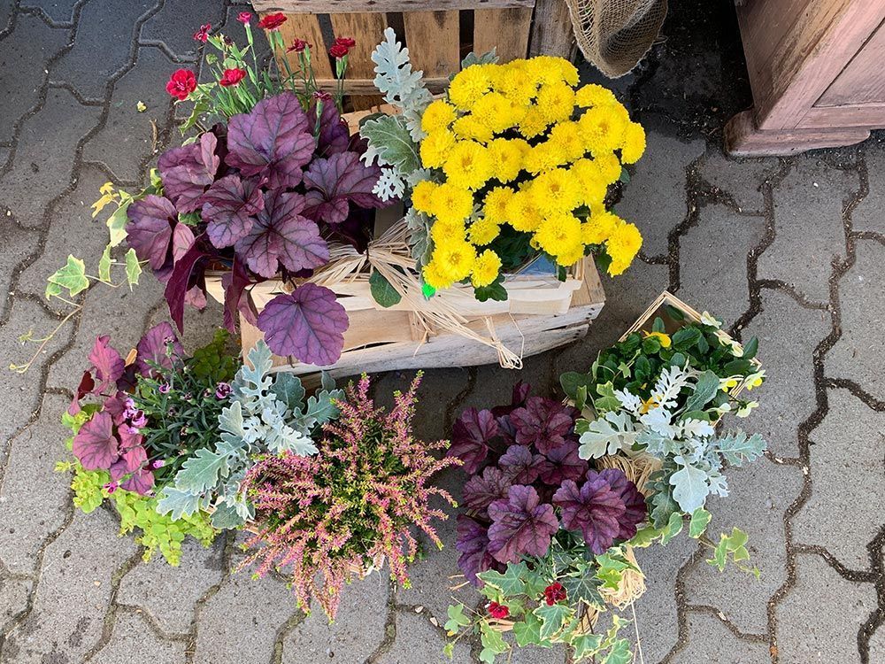 Herbstlich gepflanzte Gefäße