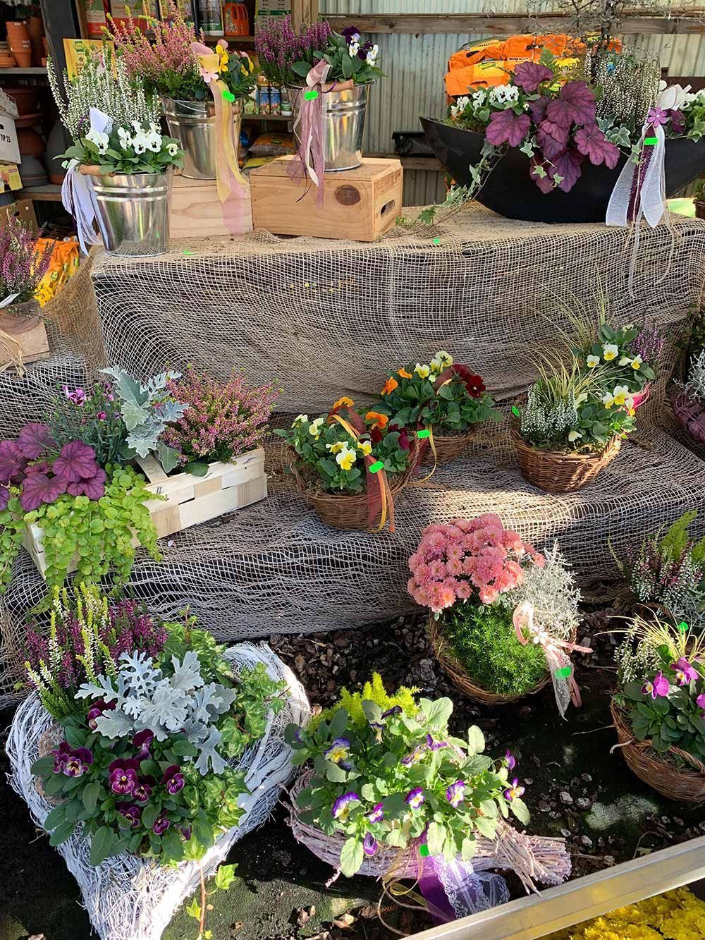 Herbstlich gepflanzte Gefäße