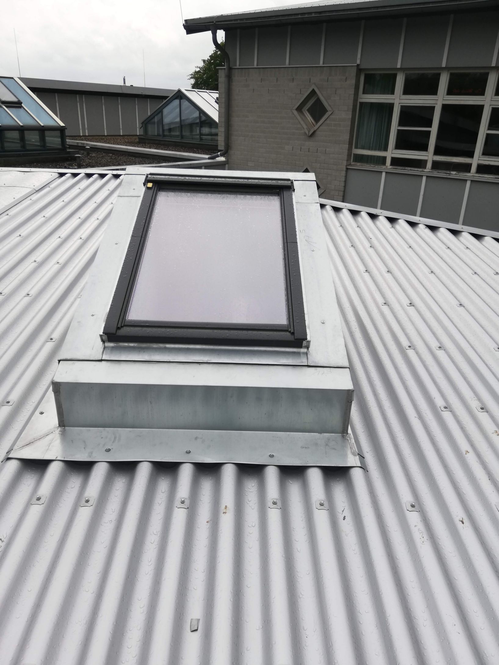 Wellblechdach mit Fenster