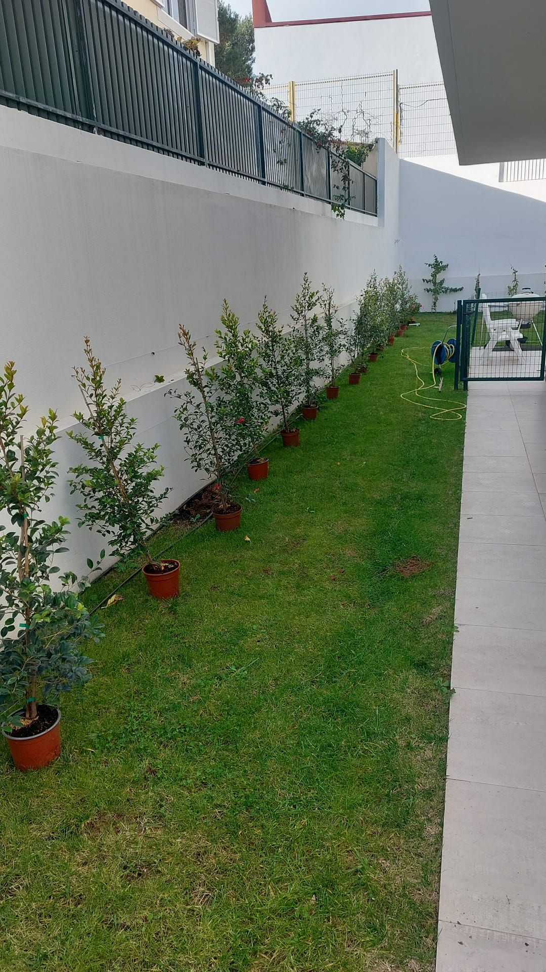 Construção e Manutenção de Jardins em Estoril, Carcavelos, Oeiras, Belém e Seixal