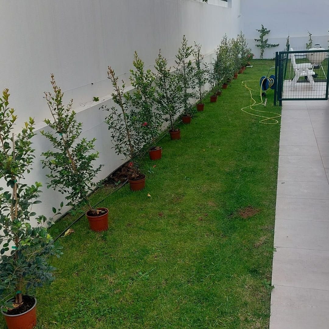 Construção e Manutenção de Jardins em Estoril, Carcavelos, Oeiras, Belém e Seixal