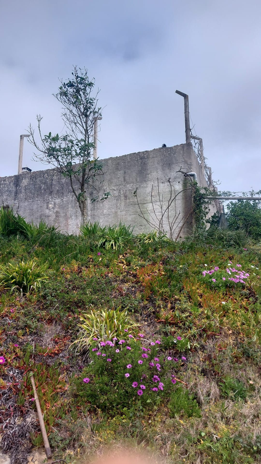 Construção e Manutenção de Jardins em Estoril, Carcavelos, Oeiras, Belém e Seixal