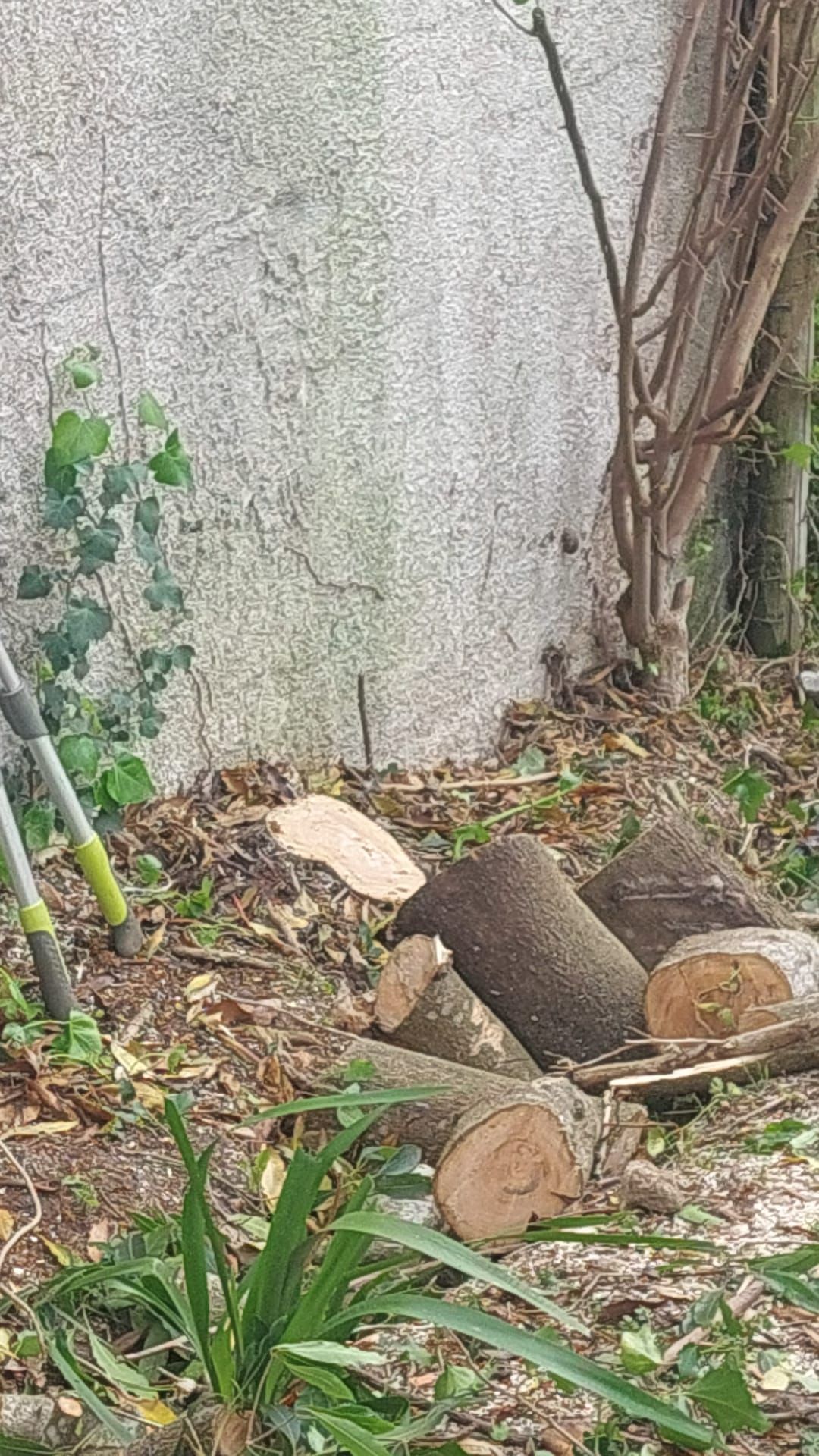 Construção e Manutenção de Jardins em Estoril, Carcavelos, Oeiras, Belém e Seixal