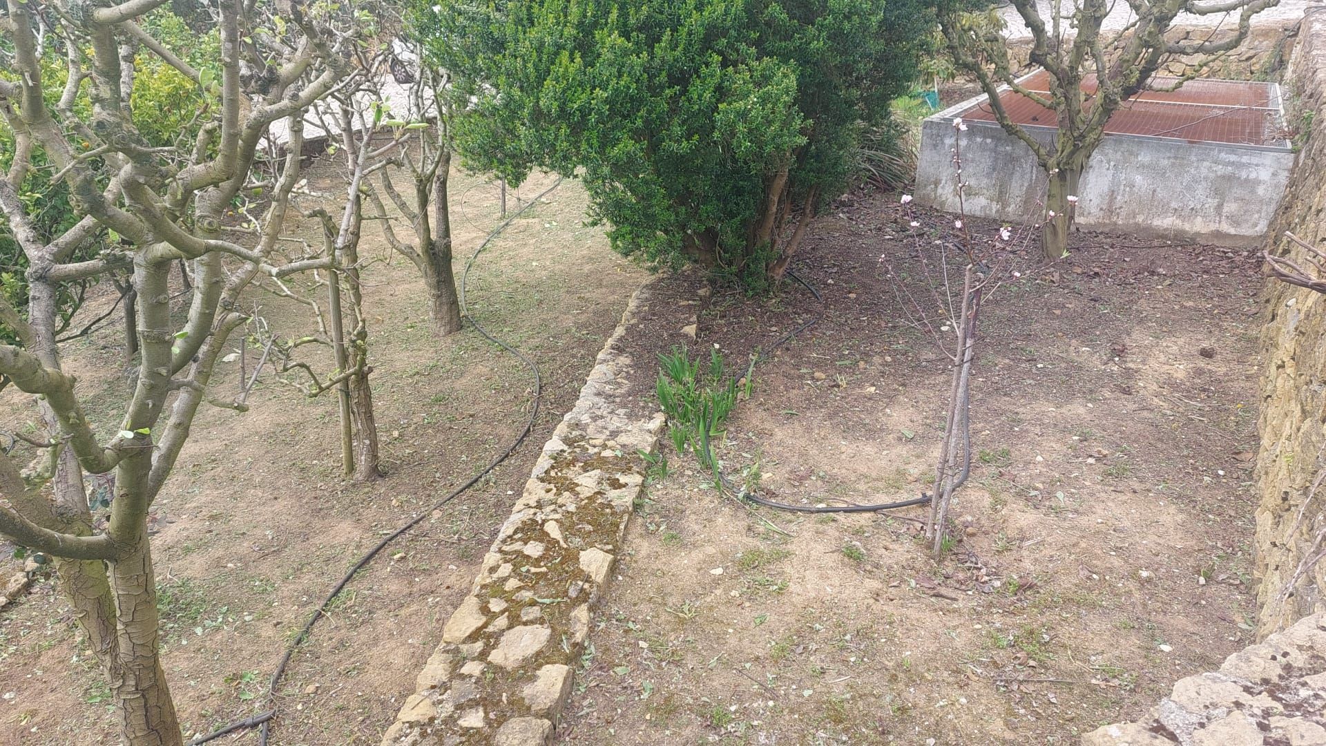 Construção e Manutenção de Jardins em Estoril, Carcavelos, Oeiras, Belém e Seixal