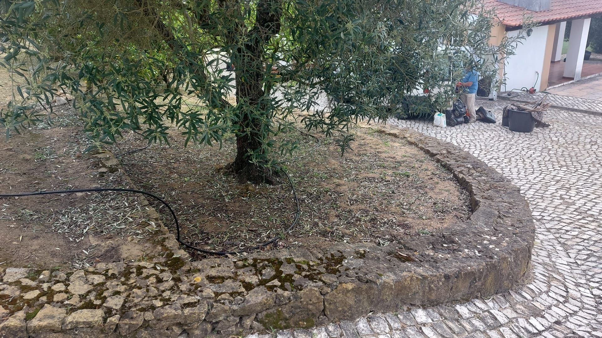 Construção e Manutenção de Jardins em Estoril, Carcavelos, Oeiras, Belém e Seixal