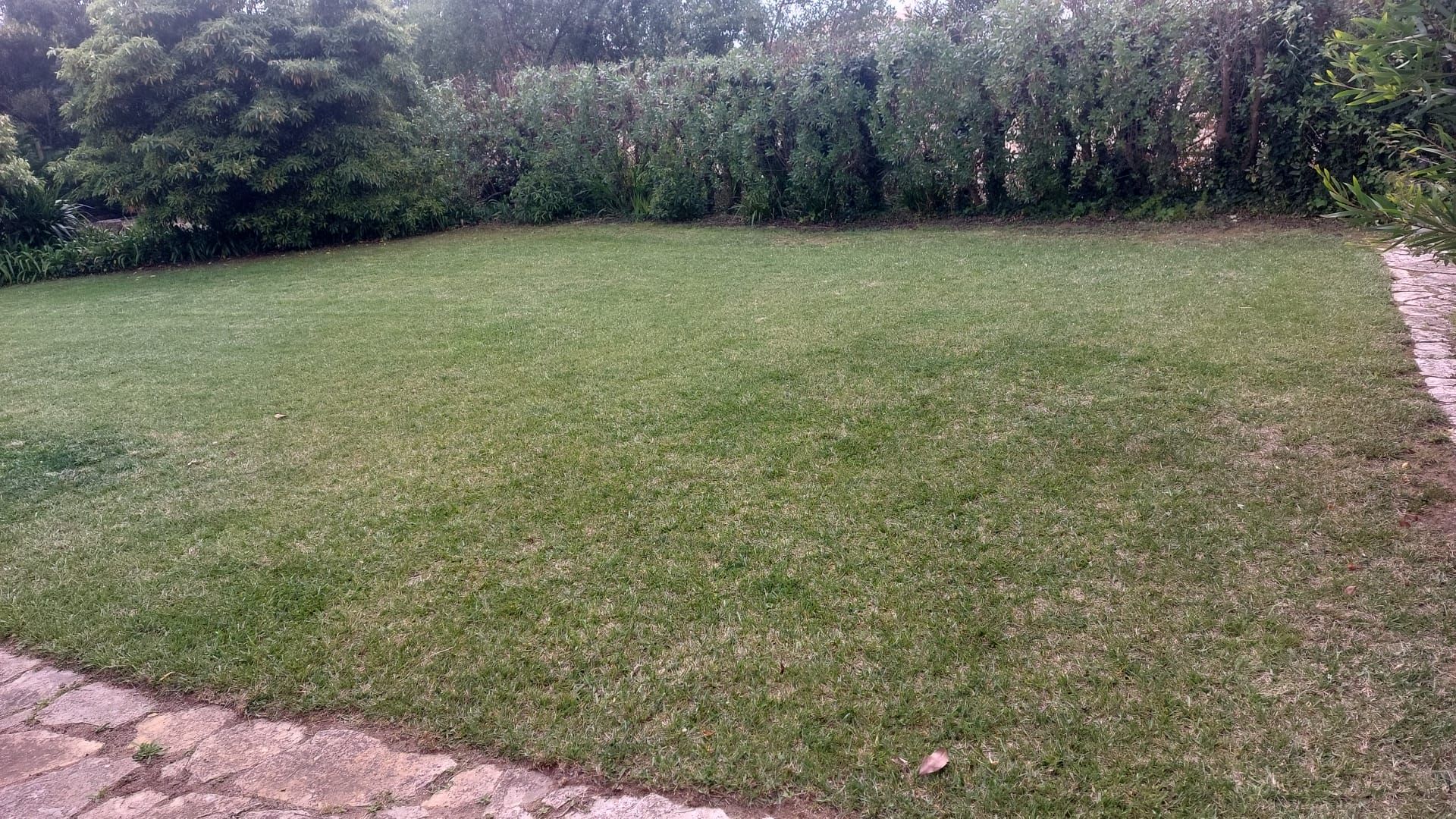 Construção e Manutenção de Jardins em Estoril, Carcavelos, Oeiras, Belém e Seixal