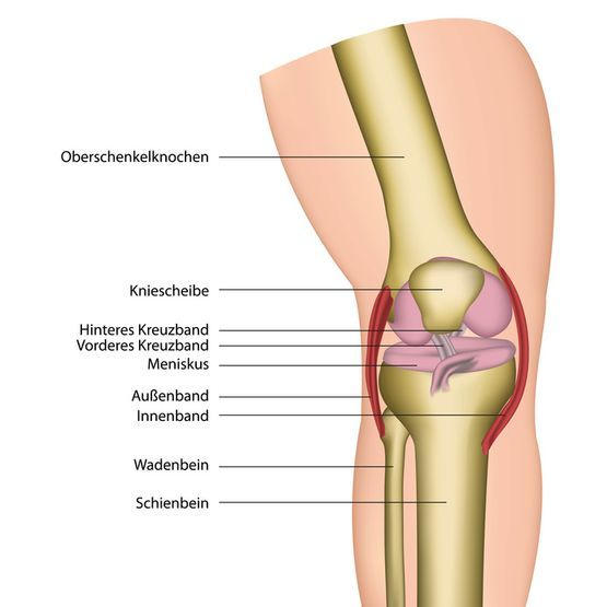 Schmerzen im Knie – welche Erkrankungen es gibt