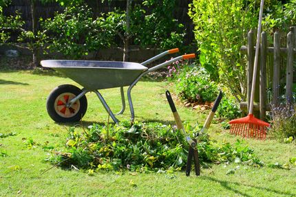 Brouette et sécateur dans un jardin