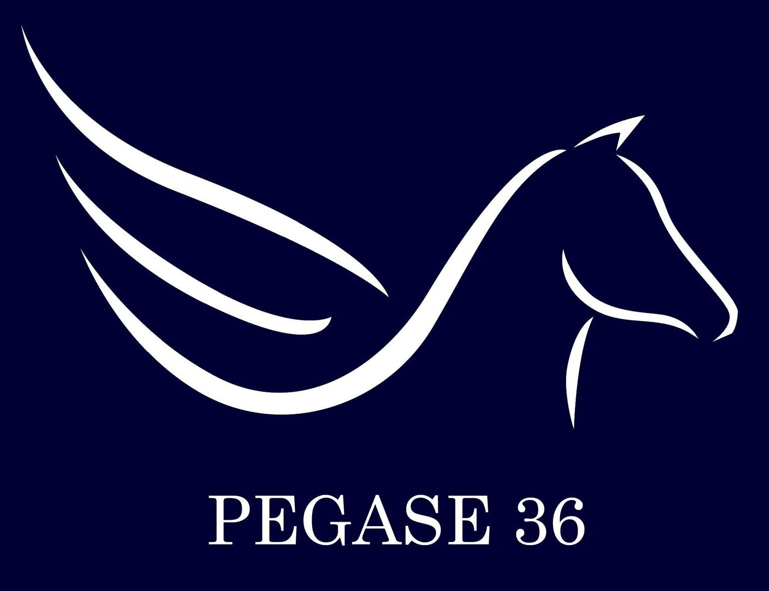 Logo de Pégase 36