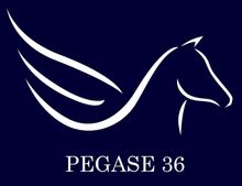 Logo de Pégase 36