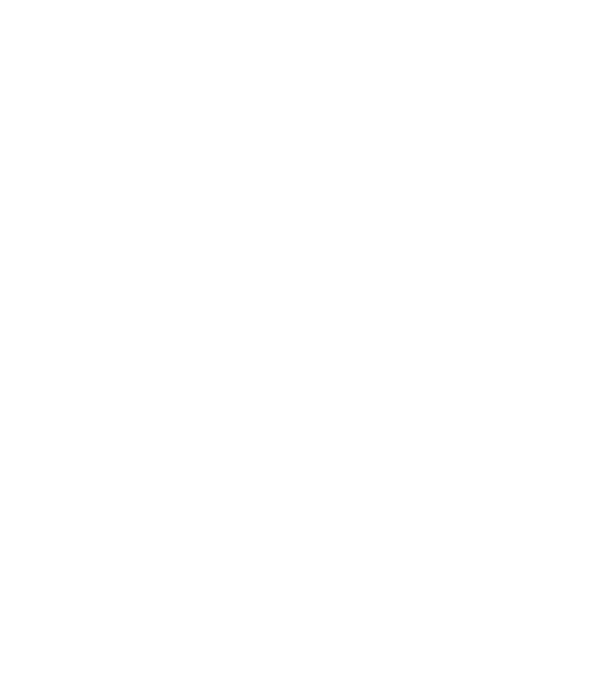 Un par de zapatillas deportiva