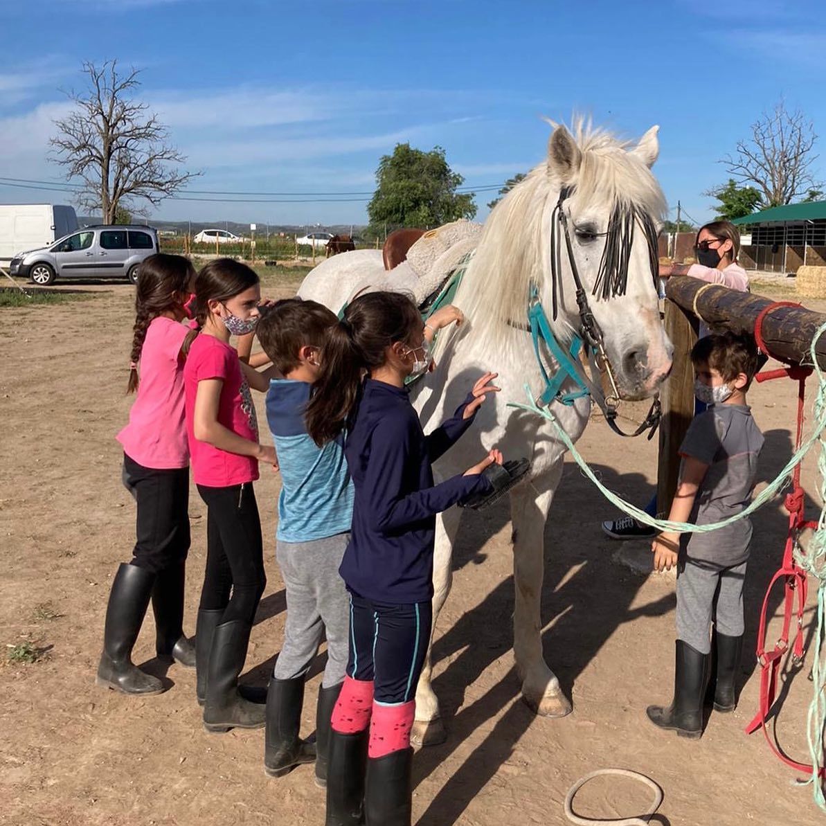 Unos niños acarician un caballo blanco al aire libre, en una zona soleada y abierta.