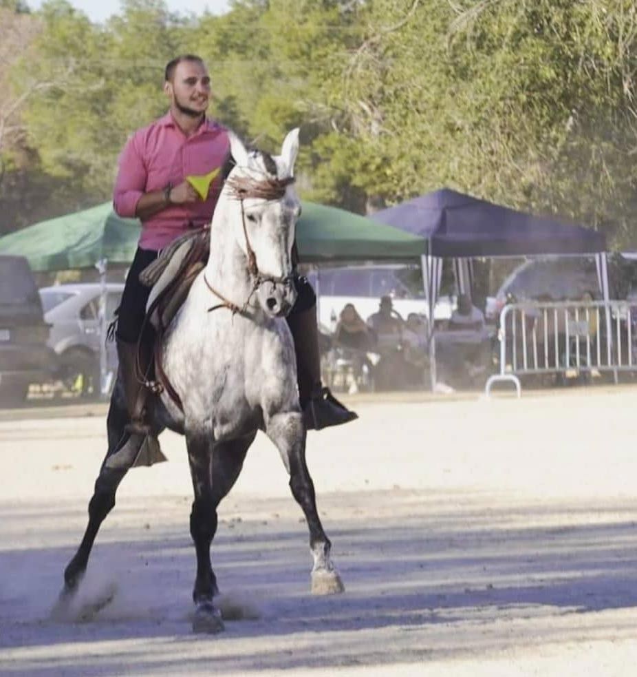 Hombre con camisa rosa montando un caballo blanco en una polvorienta arena al aire libre.
