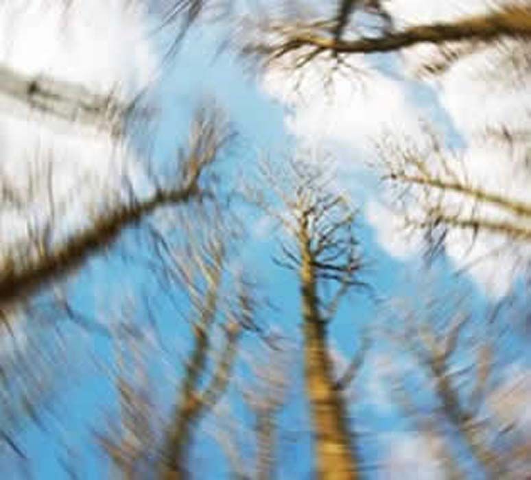 Vista borrosa de árboles altos y desnudos contra un cielo azul con nubes blancas.