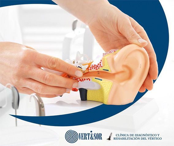En la imagen se muestra cómo usar hilo dental en una boca de modelo con dientes y encías.
