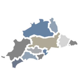 Mapa abstracto con regiones de colores irregulares en azul, gris, beige y gris claro sobre un fondo blanco.