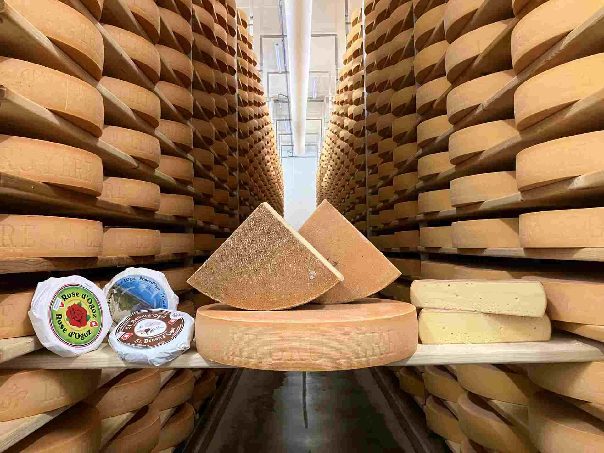 Meules de fromage affinées sur des étagères dans une cave à fromage, avec quelques morceaux coupés au premier plan.