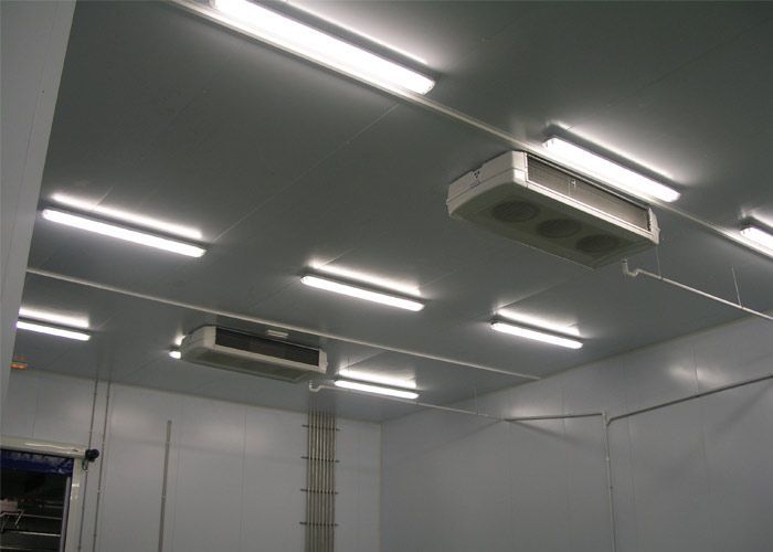 Una habitación con un techo que tiene muchas luces.