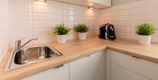 Una cocina con un fregadero y plantas en macetas en la encimera.