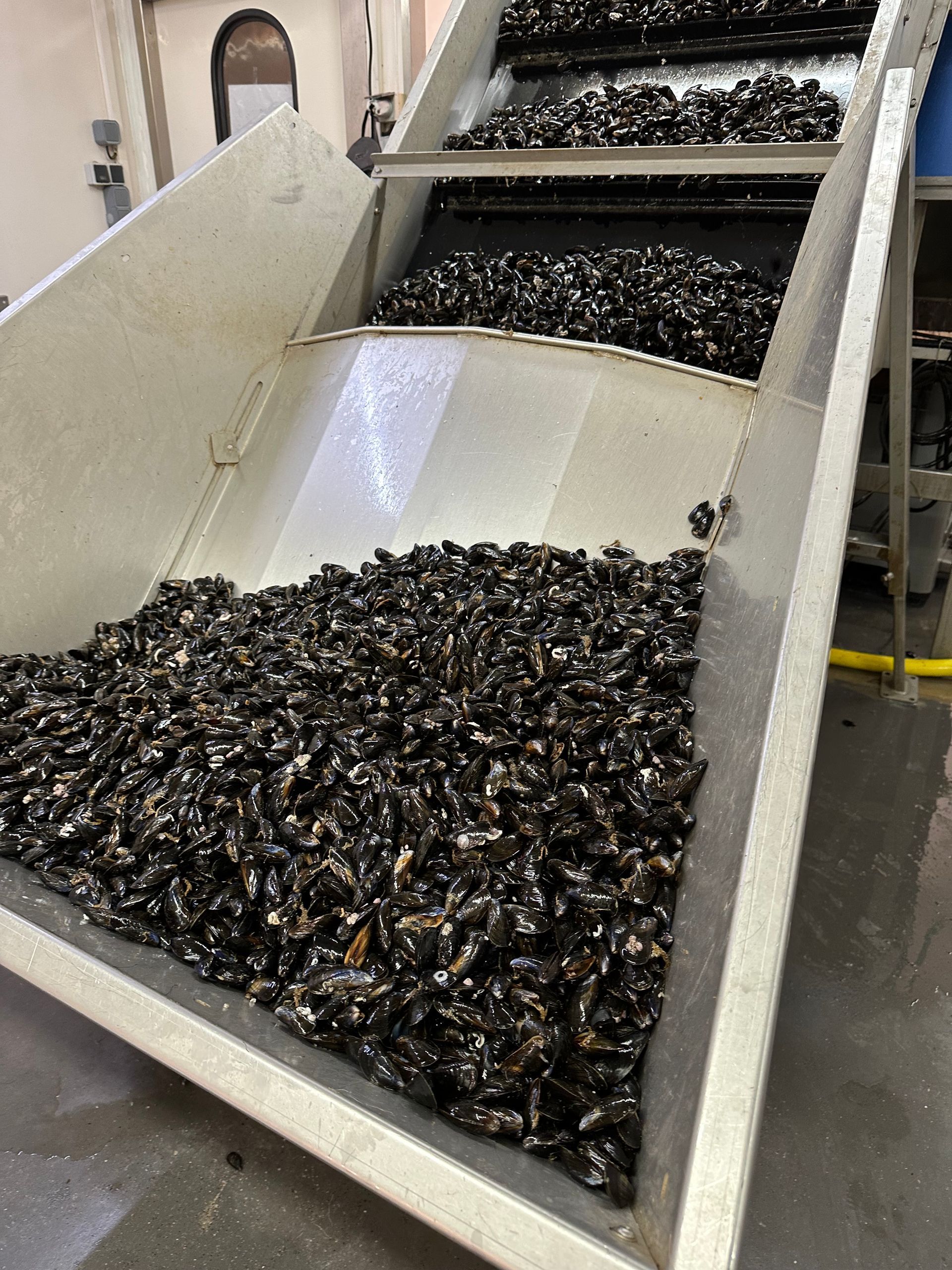 Vers la page Atelier de préparation des moules