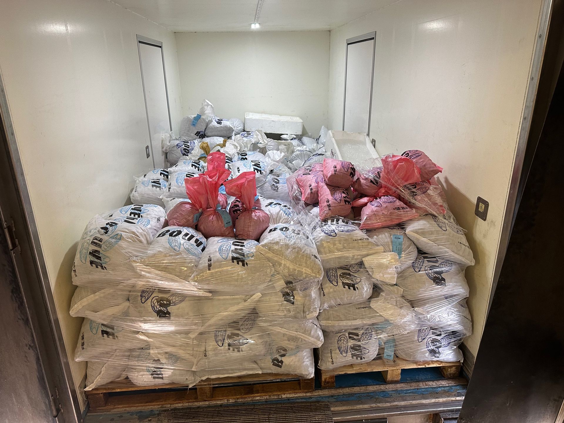 Vue intérieure d'un conteneur rempli de sacs contenant des moules.