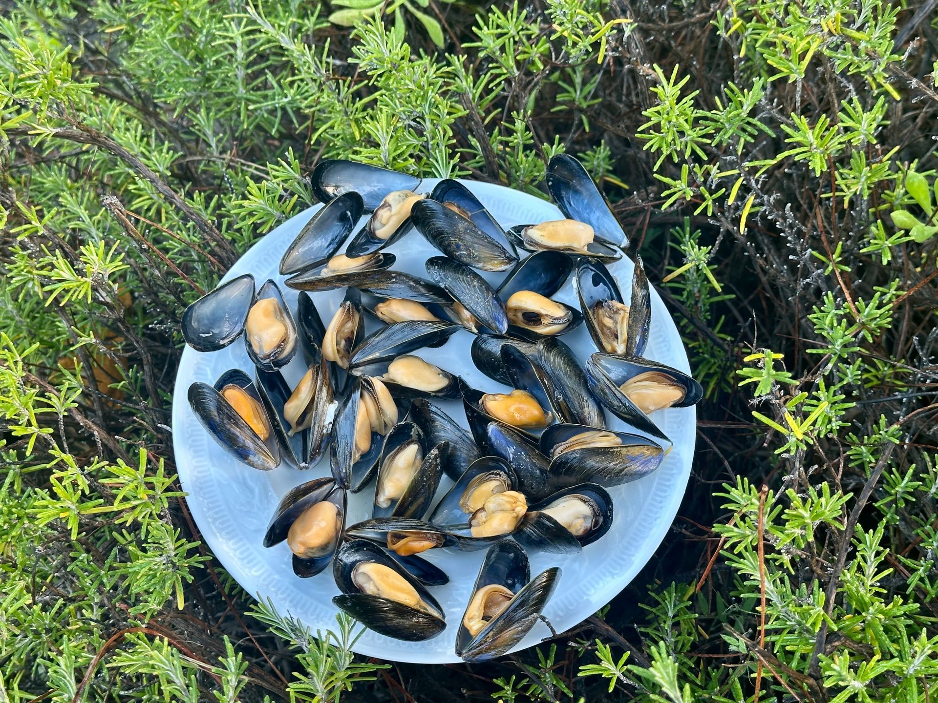 Vers la page Recettes