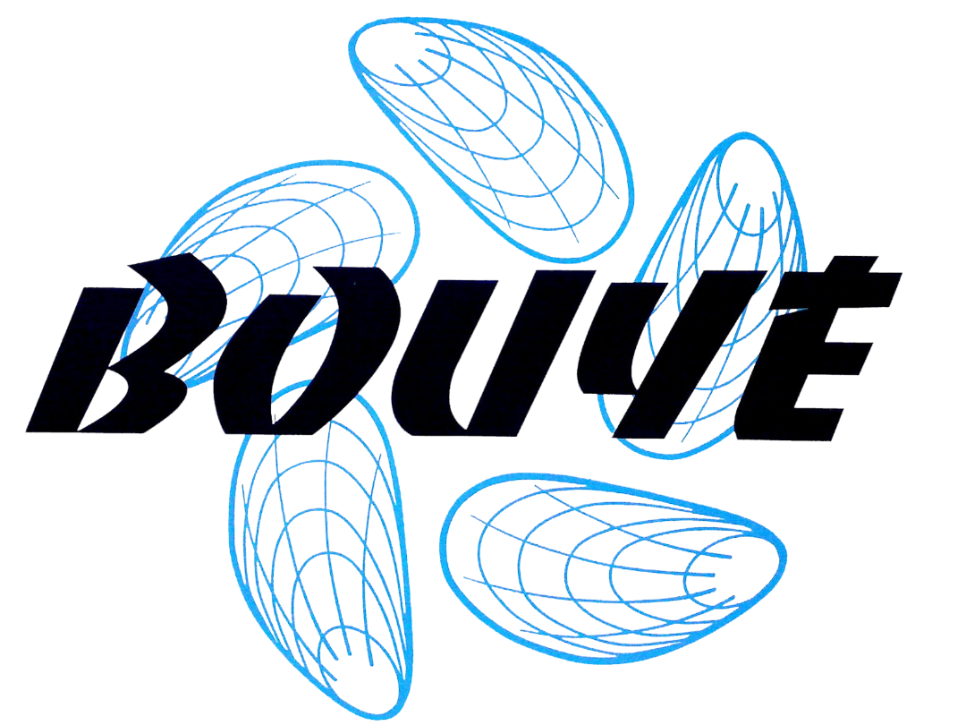 Logo de l'entreprise BOUYÉ